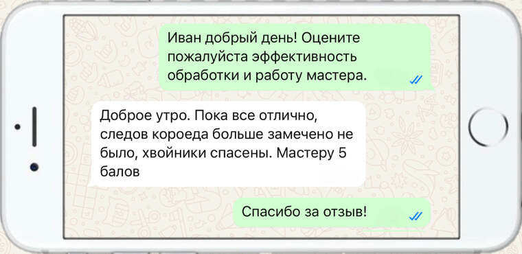 омолаживающая, формирующая и санитарная обрезка деревьев - фото №2