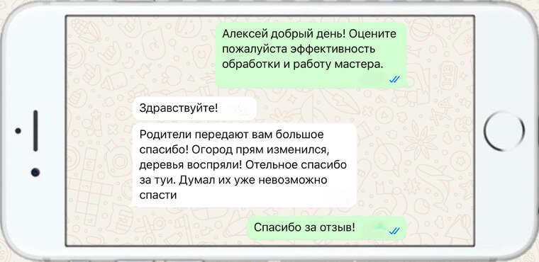 омолаживающая, формирующая и санитарная обрезка деревьев - фото №7