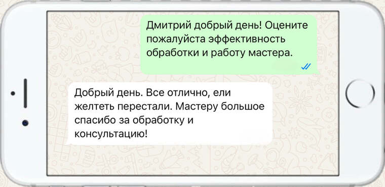 омолаживающая, формирующая и санитарная обрезка деревьев - фото №11