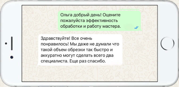 омолаживающая, формирующая и санитарная обрезка деревьев - фото №17