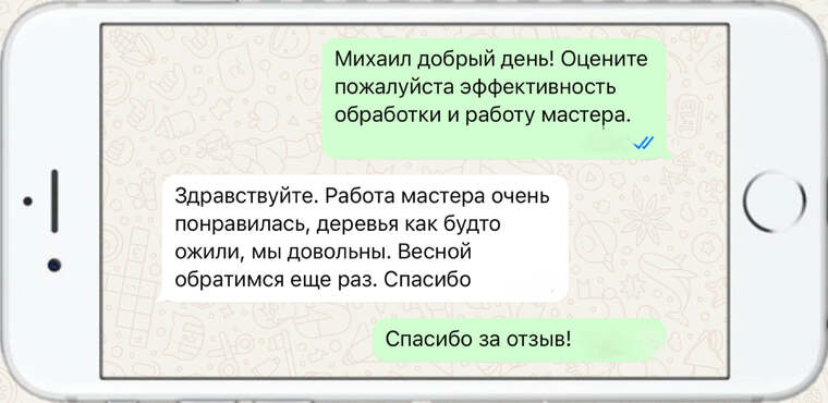 омолаживающая, формирующая и санитарная обрезка деревьев - фото №19