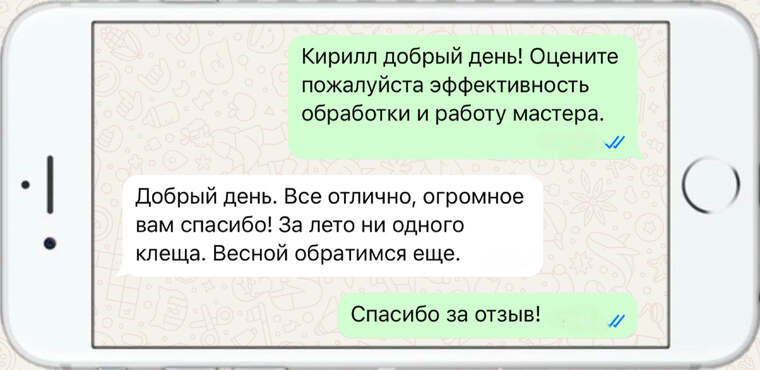 омолаживающая, формирующая и санитарная обрезка деревьев - фото №20