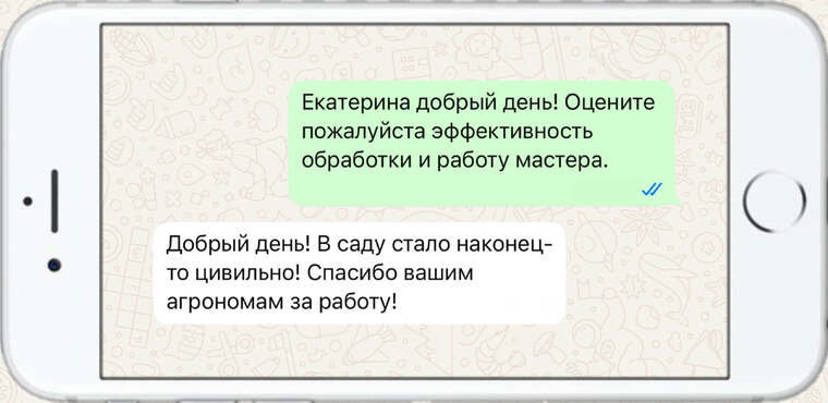 омолаживающая, формирующая и санитарная обрезка деревьев - фото №21